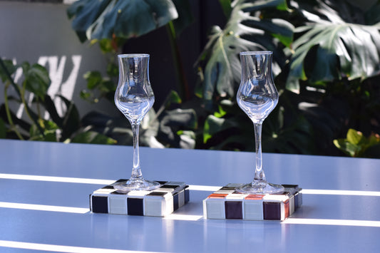 2 Pack Coaster