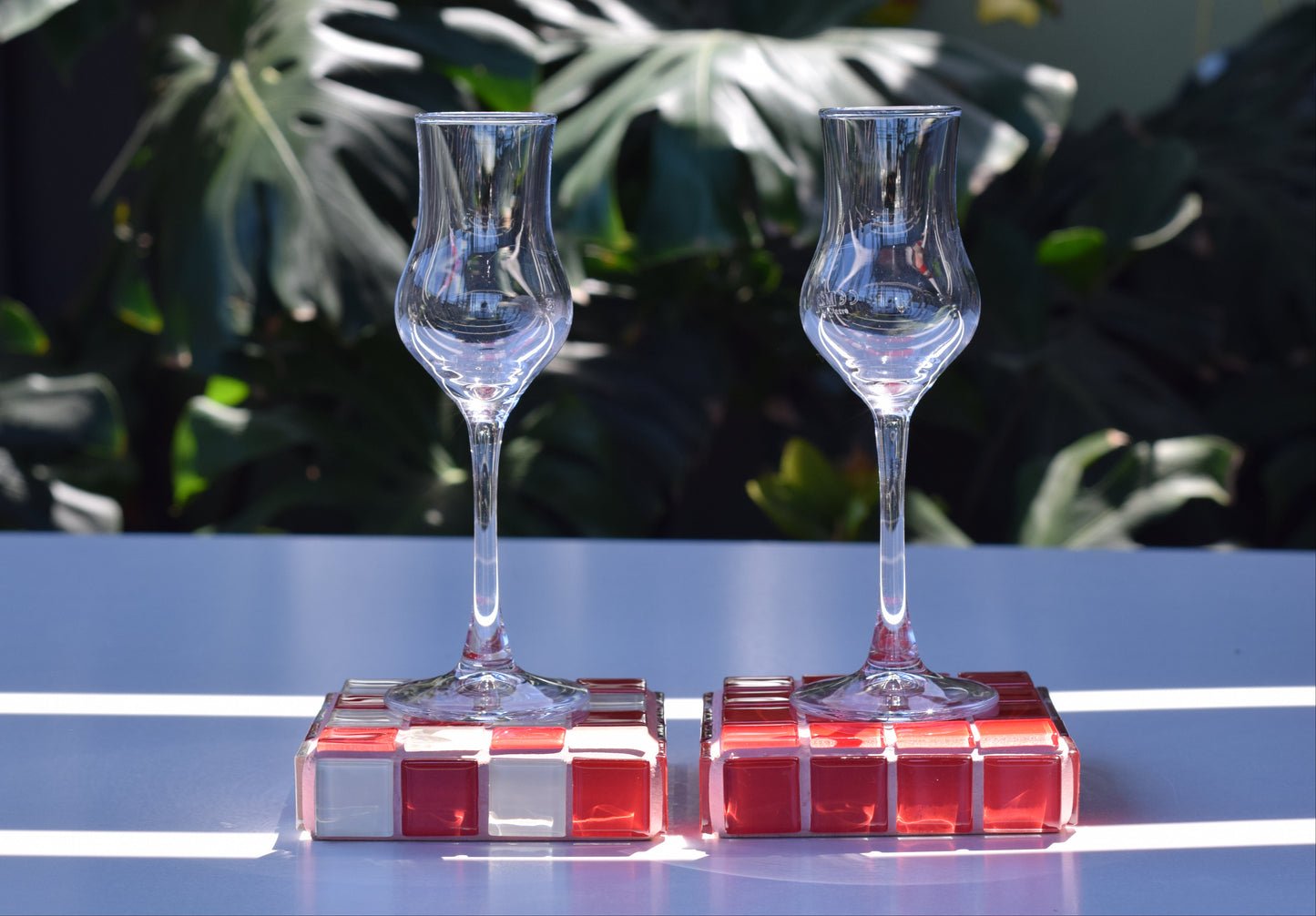 2 Pack Coaster